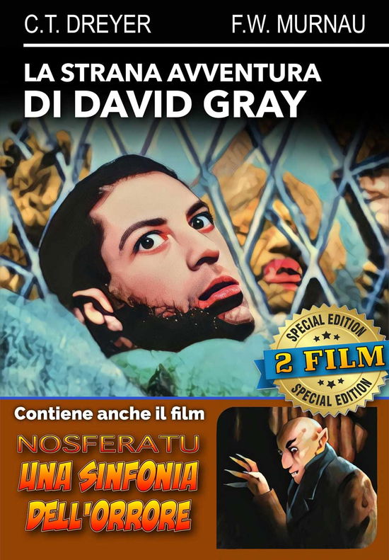 Cover for Cast · La Strana Avventura Di David Gray (1932) + Nosferatu, Una Sinfonia Dell'orrore (DVD) (2023)