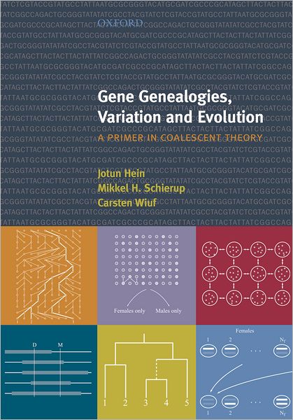 Cover for Hein, Jotun (, Professor of Bioinformatics Department of Statistics, University of Oxford) · Gene Genealogies, Variation and Evolution: A primer in coalescent theory (Paperback Book) (2004)