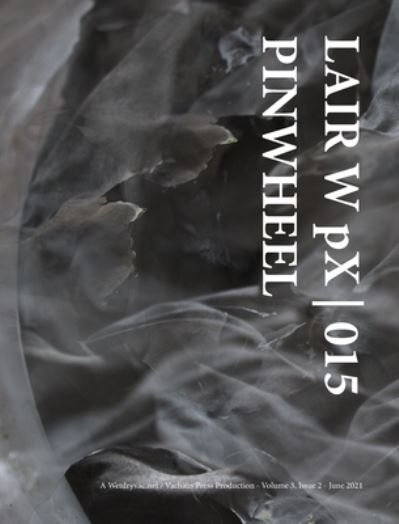 Cover for Wetdryvac · LAIR W pX 015 Pinwheel (Inbunden Bok) (2024)