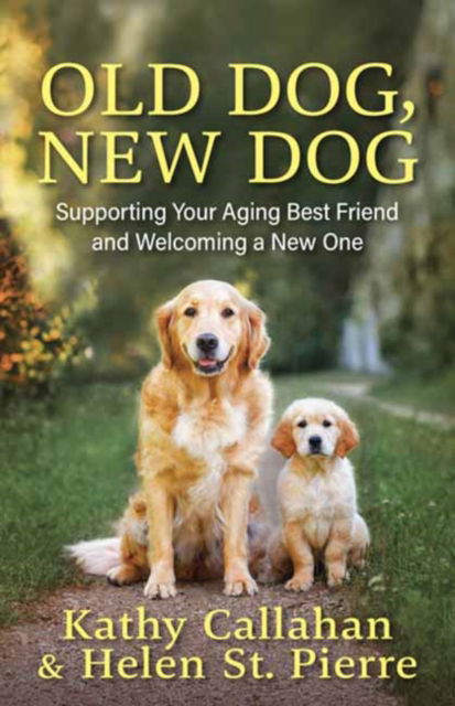 Old Dog, New Dog: A Guide to Supporting Your Aging Best Friend and Welcoming a New One - Kathy Callahan - Books - New World Library - 9781608689965 - July 24, 2025