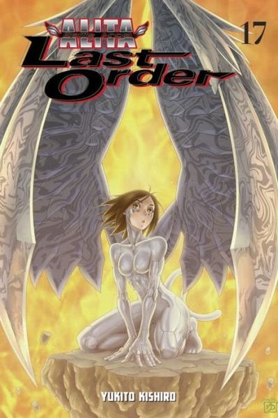 Cover for Yukito Kishiro · Battle Angel Alita: Last Order Volume 17 (Paperback Book) (2013)