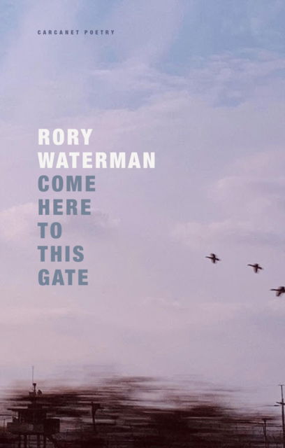 Come Here To This Gate - Rory Waterman - Books - Carcanet Press Ltd - 9781800173965 - April 25, 2024