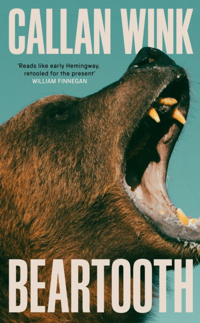 Cover for Callan Wink · Beartooth (Hardcover Book) (2025)