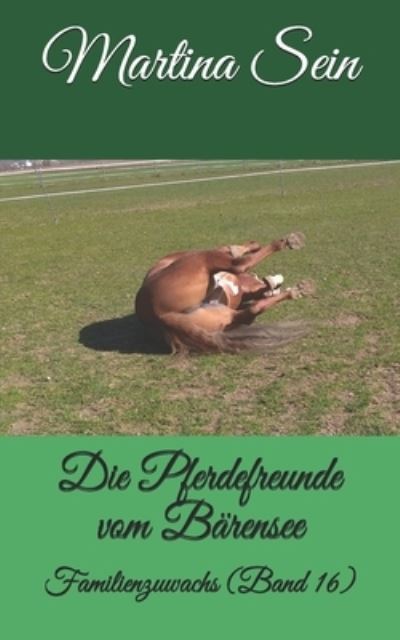 Cover for Martina Sein · Die Pferdefreunde vom Barensee (Paperback Book) (2018)