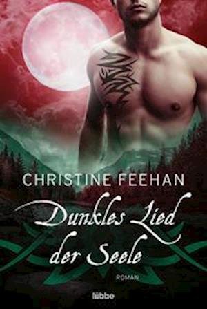 Cover for Christine Feehan · Dunkles Lied der Seele (Paperback Book) (2022)