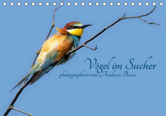 Cover for Basse · Vögel im Sucher (Tischkalender 20 (Book)