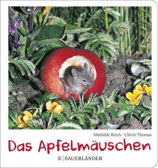Das Apfelmäuschen (Pappbilderbuch) - Mathilde Reich - Książki - FISCHER Sauerländer - 9783737358965 - 25 sierpnia 2021