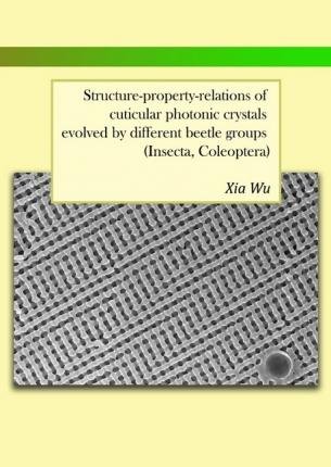 Cover for Wu · Structure-property-relations of cuti (Book)