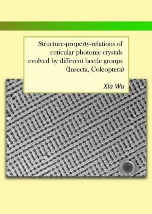 Structure-property-relations of cuti - Wu - Books -  - 9783844294965 - 