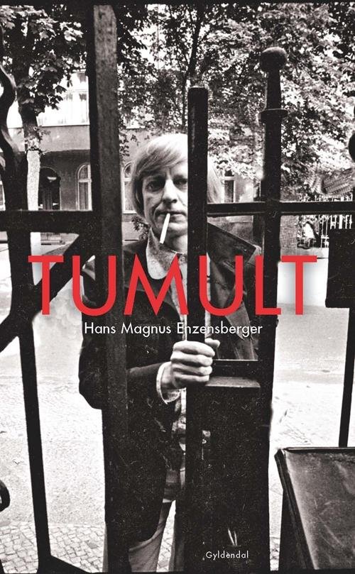 Cover for Hans Magnus Enzensberger · Tumult (Sewn Spine Book) [1er édition] (2015)
