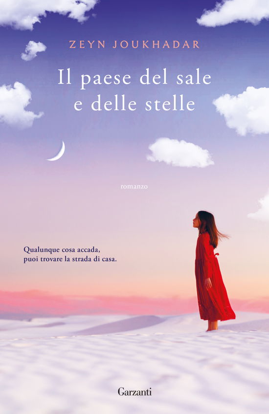 Cover for Zeyn Joukhadar · Il Paese Del Sale E Delle Stelle (Bog)