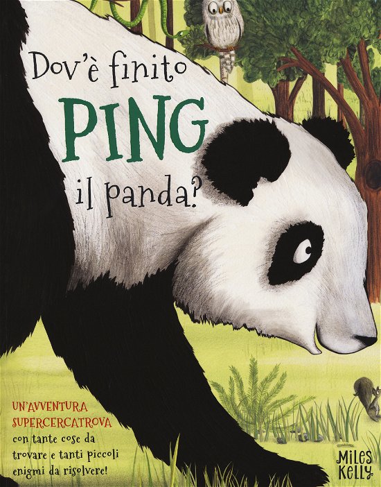 Cover for Miles Kelly · Dov'E' Finito Ping Il Panda? (Bok)