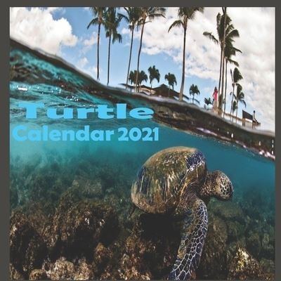 Cover for Life · Turtle calendar 2021 (Paperback Book) (2020)