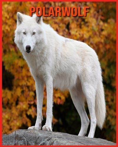 Cover for Annie Nichols · Polarwolf (Paperback Book) (2021)