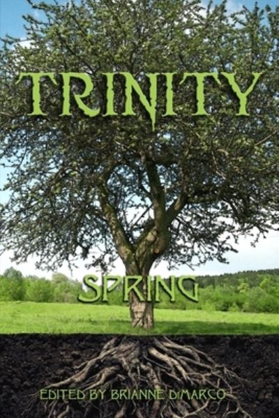 Cover for Lauren Patzer · Trinity (Pocketbok) (2021)