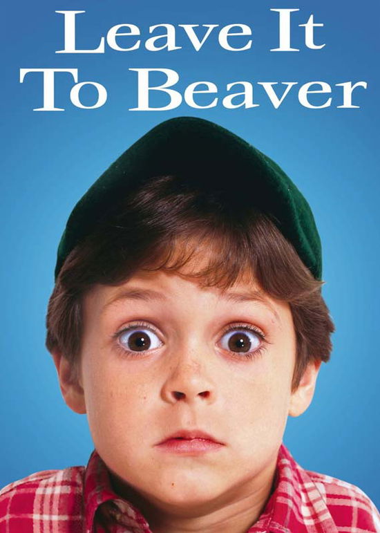 Cover for Leave It to Beaver (DVD) (2016)