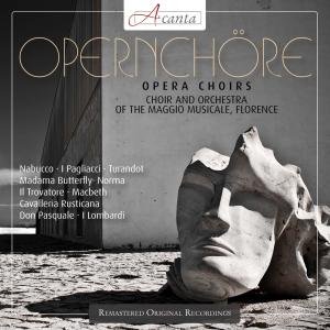 Cover for Arena Maurizio · Italienische Opernchöre (CD) (2012)