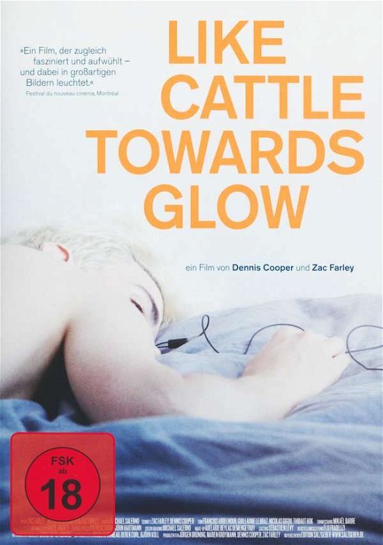 Cover for Like Cattle Towards Glow · Like Cattle Towards Glow  (OmU) (DVD) (2015)