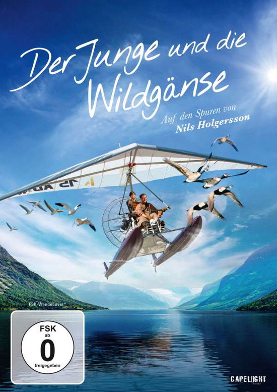 Cover for Nicolas Vanier · Der Junge Und Die Wildgänse (DVD) (2020)