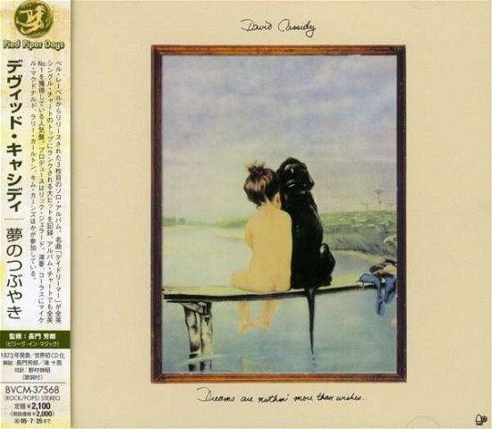 Cover for David Cassidy · Dreams Are Nuthin' More Than W * (CD) [Japan Import edition] (2005)