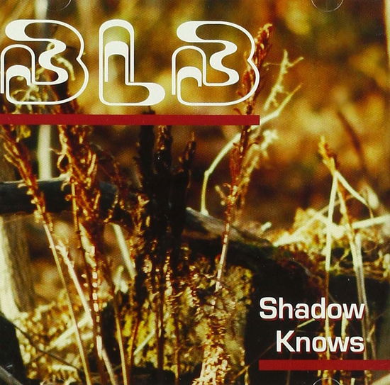 Shadow Knows - Bobby Lalonde Band - Music - COAST TO COAST - 8714691119966 - November 8, 2019