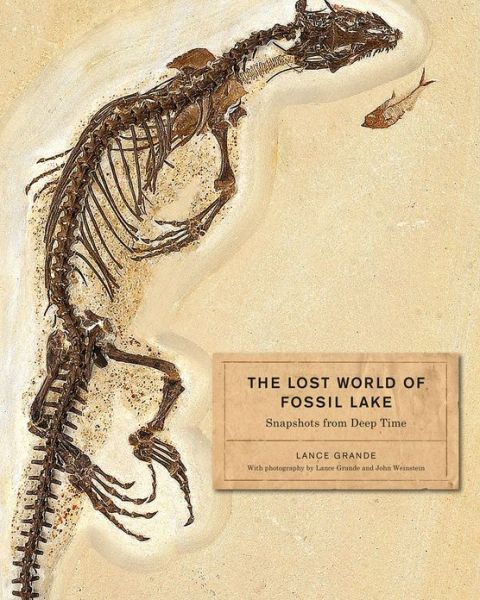 Cover for Lance Grande · The Lost World of Fossil Lake: Snapshots from Deep Time (Hardcover Book) (2013)