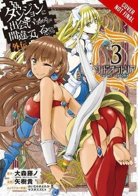 Is It Wrong to Try to Pick Up Girls in a Dungeon? Sword Oratoria, Vol. 3 - Fujino Omori - Bøker - Little, Brown & Company - 9780316447966 - 8. mai 2018