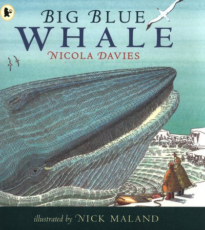 Cover for Nicola Davies · Big Blue Whale (Paperback Bog) (2015)
