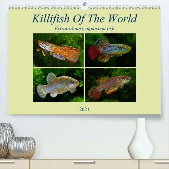 Cover for Pohlmann · Killifish Of The World (Premiu (Bog)
