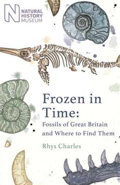 Cover for Rhys Charles · Frozen in Time: Fossils of the United Kingdom and Where to Find Them (Innbunden bok) (2022)