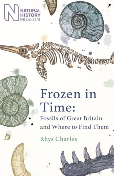 Cover for Rhys Charles · Frozen in Time: Fossils of the United Kingdom and Where to Find Them (Hardcover Book) (2022)