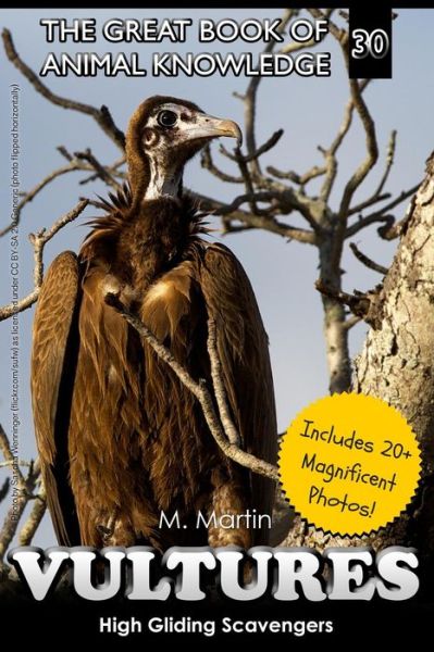 Cover for M Martin · Vultures (Paperback Book) (2016)