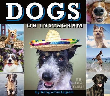 Cover for Sellers Publishing · Dogs on Instagram 2020 Calendar - Sellers (Paperback Book) (2019)