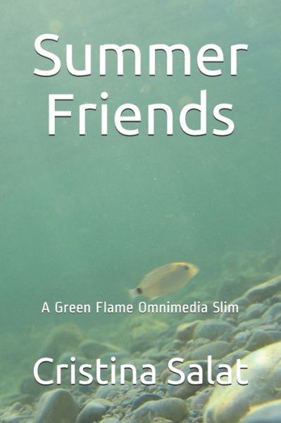 Cover for Cristina Salat · Summer Friends (Paperback Book) (2016)