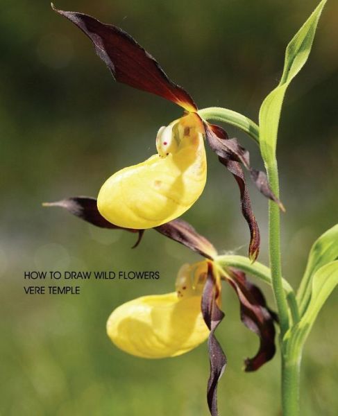 Cover for Vere Temple · How to Draw Wild Flowers (Paperback Book) [Replica edition] (2013)