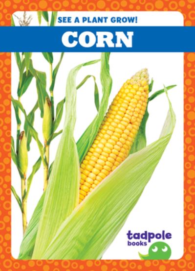 Corn - Gleisner - Other - Jump! Incorporated - 9781636906966 - August 1, 2022