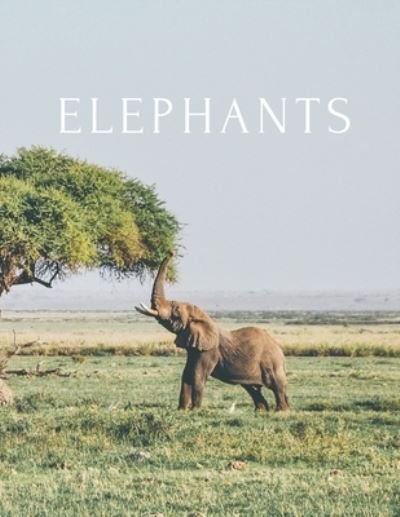 Cover for Decora Book Co · Elephants (Taschenbuch) (2019)