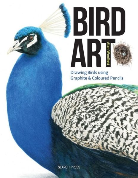 Cover for Alan Woollett · Bird Art: Drawing Birds Using Graphite &amp; Coloured Pencils (Paperback Book) (2017)