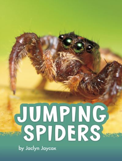 Cover for Jaclyn Jaycox · Jumping Spiders (Hardcover Book) (2021)