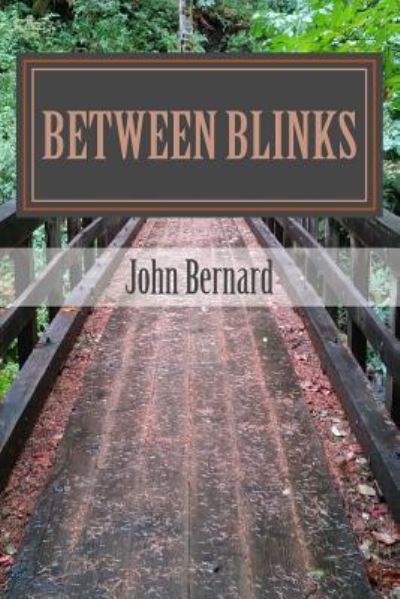 Cover for John Bernard · Between Blinks (Paperback Book) (2012)