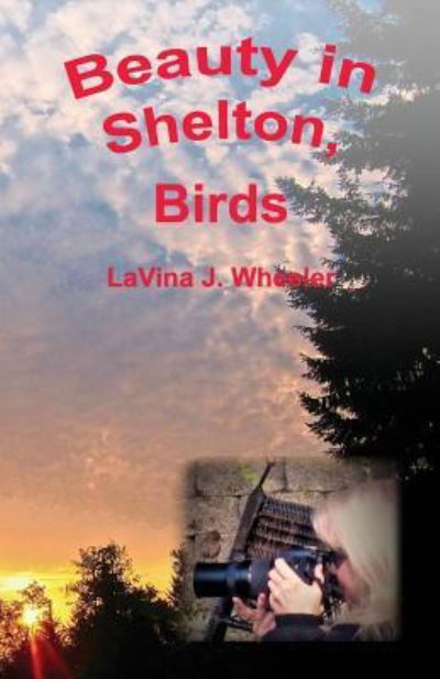 Cover for LaVina J. Wheeler · Beauty in Shelton (Paperback Book) (2017)