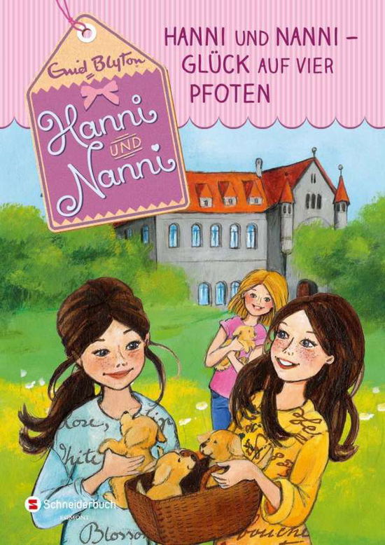 Cover for Blyton · Hanni und Nanni - Glück a.vier (Book)