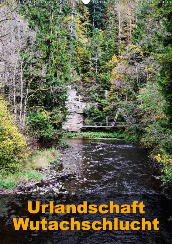 Cover for Hug · Urlandschaft Wutachschlucht (Wandka (Book)