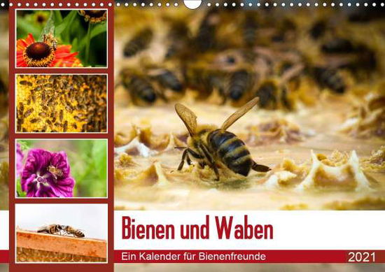 Cover for Wilms · Bienen und Waben (Wandkalender 20 (Book)