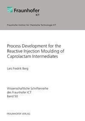 Cover for Berg · Process Development for the Reacti (Bog)