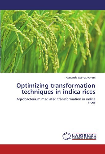 Cover for Aananthi Namasivayam · Optimizing Transformation Techniques  in Indica Rices: Agrobacterium Mediated Transformation in Indica Rices (Pocketbok) (2012)
