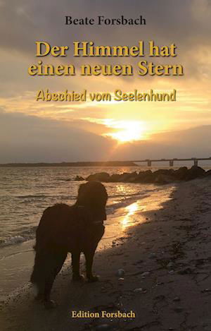 Cover for Beate Forsbach · Der Himmel hat einen neuen Stern (Buch) (2022)