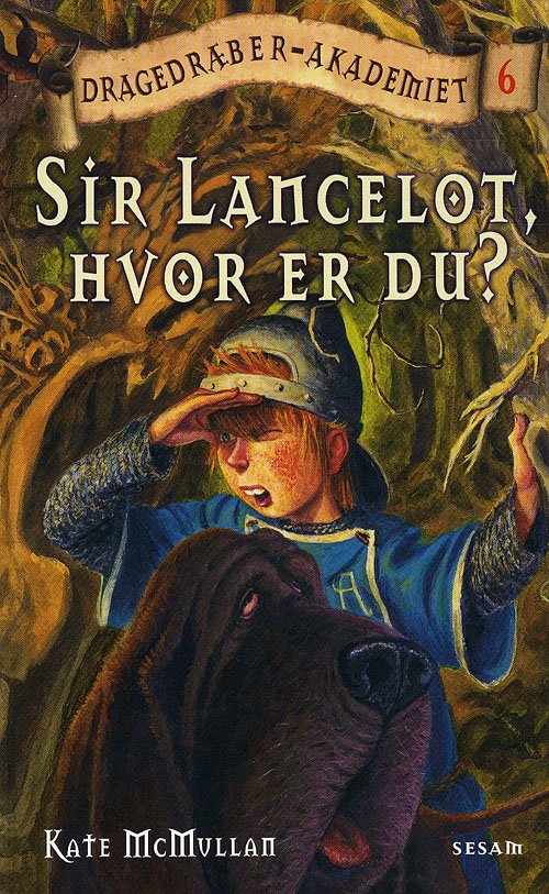 Cover for Kate McMullan · Dragedræber-akademiet, 6: Dragedræber-akademiet 6: Sir Lancelot, hvor er du? (Innbunden bok) [1. utgave] (2008)