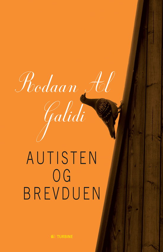 Cover for Rodaan Al Galidi · Autisten og brevduen (Bound Book) [1st edition] [Indbundet] (2013)