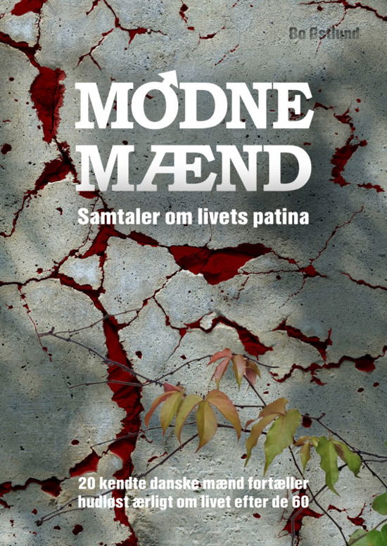 Cover for Bo Østlund · Modne Mænd 1 (Hardcover Book) [1er édition] (2016)